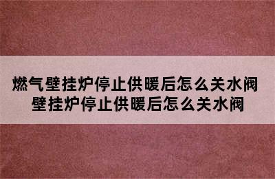 燃气壁挂炉停止供暖后怎么关水阀 壁挂炉停止供暖后怎么关水阀